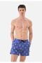 Gts- Cactus Patterned Sports-swimwear Shorts - 2