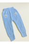 Unisex Baby Blue Ribbed Bear Knitwear Tights - 3