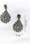 Women's Gray Color Crystal Stone Hanging Evening Dress Earrings - 2