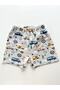Gray Background Blue Car Pattern Summer Shorts