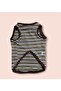 Cat Dog Striped Athlete - 2
