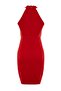 Red Body-Fitting Lined Woven Short Elegant Evening Night Graduation Dress TPRAW19BB0007 - 8