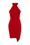 Red Body-Fitting Lined Woven Short Elegant Evening Night Graduation Dress TPRAW19BB0007 - 7