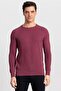 Men's Slim Fit Narrow Cut Crew Neck Self Patterned Sweater - 2