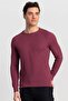 Men's Slim Fit Narrow Cut Crew Neck Self Patterned Sweater