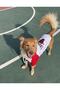 Cat Dog Combed Cotton Hooded Sweat - 4