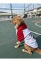 Cat Dog Combed Cotton Hooded Sweat - 5