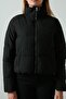 Onldolly High Collar Puffer Coat Women's Coat 15205371 - 5