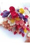 Mixed Colors, Bird's Grass (Phalaris) Dry Flower, Bunch, Average 40-45 cm Height - 5