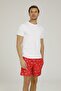 Ct485 Renato Swim Short 2 Men's Swim Shorts