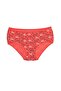 Patterned Large Size Panties 4 Pack - 6