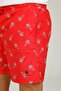 Ct485 Renato Swim Short 2 Men's Swim Shorts - 4