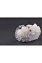 Certified Fluorite Natural Stone Bracelet 8 Mm - B858 - 4