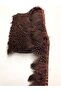 Dark Brown Feather Stuy-1011 – Special Design, Accessory, Quality Production, Eye-Catching Style – Dekorati