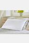 Goose Feather Star Pillow - 2