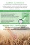 Moisturizing and Nourishing Wheat Oil Hand Care Mask Effective for Dry Skin 18Gr - 3