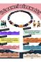 Certified Student Bracelet Amber Azurite Howlite Calcite Sodalite Hematite Jade Tiger Eye
