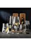 Bohemia Crystal Tulipa Jumbo Optical 6-Piece Glass Set 450 Ml - 3