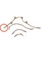 - Face - Neck Lift Tapes Lift up Almond Eye-Brow Lift 40 Pieces - 4