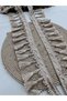 Stripe Tassel Fringe Cappuccino 5 Meters - 2