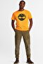 Men's T-Shirt - Tree Logo, Tb0a2c2r8041 Model - 3