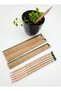 25 Pieces of "To Your Teacher's Measure You to Nature" Printed Pen with Seeds Kk