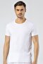 Cotton & Lycra, O-Neck Short Sleeve Men's T-shirt