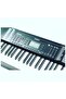 Org Nem-3100 - 3