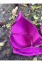 Women's Micro Fabric Unpadded Underwire Daily Bra - 4
