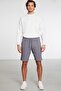 Luca Regular Gray Shorts & Bermuda - 2