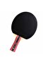 مضرب تنس الطاولة الرياضي المعتمد من 300 Ittf