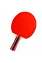 مضرب تنس الطاولة الرياضي المعتمد من 300 Ittf - 2