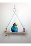 Budgie Natural Swing