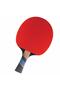 مضرب تنس الطاولة المعتمد من شركة Excell 1000 Carbon Ittf - 2