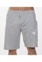 Gray Classic Shorts 1430 - 3