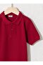 Boy's Claret Red T-Shirt Polo Collar Basic Short Sleeve Cotton from Your Fashion Style - 5