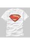 Man Of Steel Detailed Logo Men's T-Shirt