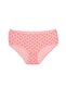 Patterned Large Size Panties 4 Pack - 6
