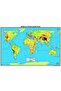 Wall Cellophane Covering Double Sided World Physical and Political Map 35x50 cm