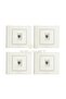 4 قطع من إطار مقبس الهاتف Grano White Numeris، تتضمن 4 قطع/مجموعة - 2