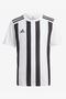 Striped 21 Jsy Adgv1377 Men's Jersey