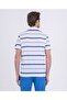 Men's Knitted Poloshirt C.wCotton - 2