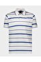 Men's Knitted Poloshirt C.wCotton - 5