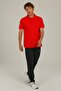 Ct953 Basic Polo T-shirt Men's Short Sleeve T-shirt - 3