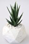 Artificial Succulent in Handmade Concrete Flowerpot Succulent 16cm Stone Model (stone)