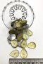 Damla Plastic Strut Stone 1 Pack 10 Pieces – Beads - 2