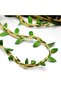 Jut Ribbon (Leafed) 2 Mt – Ribbon - 5