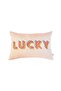 Lucky Patterned Rainbow Series Decorative Throw Pillow Cover