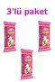 3 Pack Stain Remover Wet Wipes (20 Sheets)