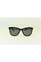 22202 Model Polarized Black Sun Lens